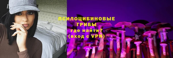 a pvp Горняк