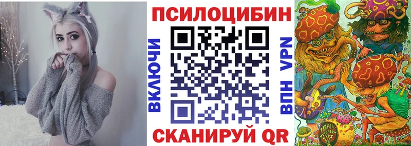 купить   Грайворон  Псилоцибиновые грибы MAGIC MUSHROOMS 
