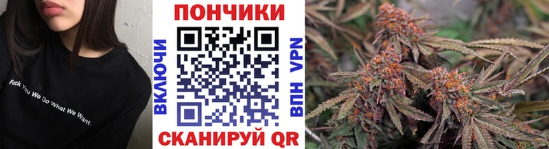 площадка наркотические препараты  Грайворон  Бошки марихуана план 